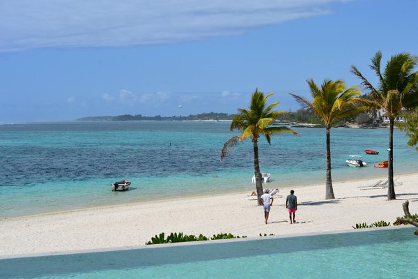 Uncover Somerset's Hidden Gems: Dive into the Heart of Traditional British Cider Craftsmanship